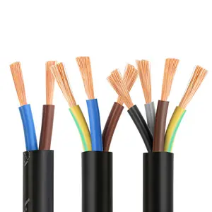 MMulti Conductor Royal Cord Câble Flexible RVV 2 3 4 5 Core 0.75 1 1.5 2.5 4 6 MM Câble électrique Fil Câble d'alimentation