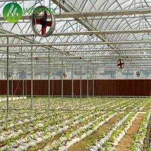 Serre préfabriquée en plastique multi-span pour la culture de fleurs et de <span class=keywords><strong>l</strong></span>égumes - Product Image 6