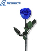 Cadeaux de Noël 2024 Bouquet de roses éternelles Rose préservée avec tige
