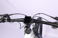 Livraison gratuite Vélo de montagne électrique 29 pouces Bafang M510 36v 250w Ebike MM G522.250C 8fun Moteur central Vélo électrique Entrepôt UE
