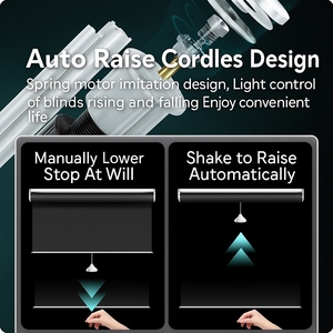 OEM Custom Smart tapparelle elettriche automatiche sollevamento e rimbalzo silenzioso per finestre di <span class=keywords><strong>grandi</strong></span> <span class=keywords><strong>dimensioni</strong></span> - Product Image 2