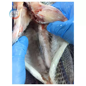 Tilapia surgelée éviscérée et écaillée de Chine, vente en gros IQF WGS, 300-500g, tilapia d'élevage, exportation vers l'Afrique/l'Europe - Product Image 6
