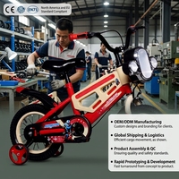 Vélo pour enfants, VTT pour enfants avec roues d'apprentissage, siège réglable, vélo pour garçons et filles, fournisseur en gros OEM ODM