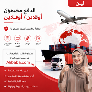 Mejor Agente de Envío DDP Profesional, Envío Aéreo+Exprés a Emiratos Árabes Unidos, Transitario Puerta a Puerta de China a Dubái, Abu Dabi, Sharjah, Ajmán - Product Image 6
