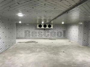 Bescool Kühlraum Kühlzelle Kühlcontainer 100mm 120mm PU-Panel Sandwich-Stahlpaneel Kühlraum - Product Image 5