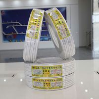 Cable Eléctrico Plano Trenzado con Aislamiento de PVC y Cobre RVVB de 2 Núcleos, Estándar Nacional, para Uso Doméstico y en Edificios, 1/1.5/2.5/4/6mm
