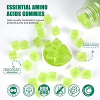 Complément alimentaire à base d'acides aminés de haute qualité, complément alimentaire à base de plantes pour la perte de poids, brûleur de graisse, contrôle de l'appétit, capsule minceur