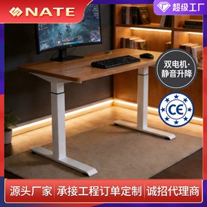 Bureau électrique réglable en hauteur Nate, double moteur, tube carré, pour ordinateur, bureau ou gaming - Product Image 3