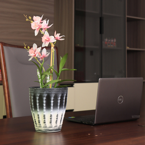 Leizisure Pots de plantes ronds rustiques uniques de haute qualité Petits jardinières en plastique pour plantes d'intérieur Macetas Decorativas Desktop - Product Image 4