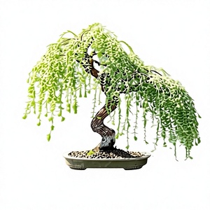 30+ Arbres Bonsaï <span class=keywords><strong>Saule</strong></span> <span class=keywords><strong>Pleureur</strong></span> – Branches tombantes gracieuses, Arbre Ornemental Compact en Plastique pour Intérieur/Extérieur, Toutes Saisons, Jardin - Product Image 3