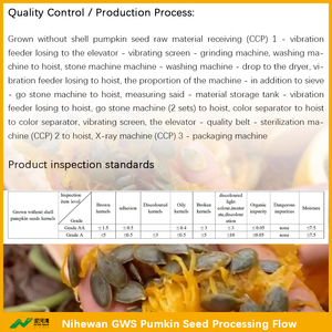 <span class=keywords><strong>เมล็ด</strong></span>ฟักทองเปลือกแข็ง นิฮีเวียน เกรดอาหาร AAA สีเขียวเข้ม <span class=keywords><strong>เมล็ด</strong></span>ฟักทองจัมโบ้ ขายส่ง <span class=keywords><strong>เมล็ด</strong></span>ฟักทองขนาดใหญ่จากจีน - Product Image 5