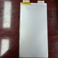 Cellules prismatiques 3.2V 50Ah Batterie lithium-ion polymère pour moto électrique et drone