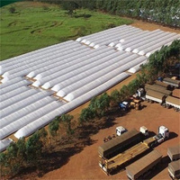 Sacs de silo en LDPE haute résistance pour le stockage de l'ensilage 5 pieds-12 pieds résistants aux UV avec stabilisateurs thermiques Marque Longxing Modèle LX-SL Vente en gros
