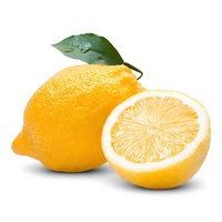 Food Grade Hoge Zuiverheid Grote Voorraad Citroenpoeder Citroenfruit Poeder Volledig In Water Oplosbaar