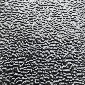 Bán hàng nóng chất lượng cao sinh thái lông swakara cho hàng may mặc áo khoác - Product Image 4