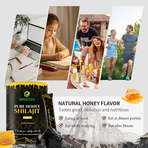 OEM/ODM Organic Himalayan Shilajit Honey <b>Sticks</b> Natural Royal Honey <b>Stick</b> Saffron Antioxidant Immune Support Herbal Supplement - Product Image 2