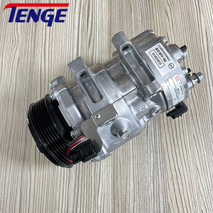 Tenge AC compressore aria condizionata OEM 301000131AA per <span class=keywords><strong>Chery</strong></span> <span class=keywords><strong>Tiggo</strong></span> <span class=keywords><strong>Chery</strong></span> <span class=keywords><strong>Tiggo</strong></span> 7 Pro 8 Txs 1.5 1.6 2.0 sospensioni pneumatiche 6PK - Product Image 2