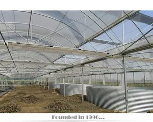 Greenhouse agrícola para aquacultura comercial, segunda mão, grande tamanho, túnel agrícola, greenhouse para tomate