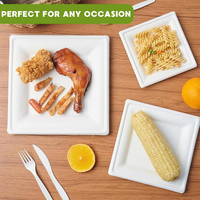 Assiette à dessert carrée en bagasse de canne à sucre blanche Petites assiettes biodégradables résistantes jetables au micro-ondes