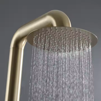 Ensemble de colonne de douche extérieure en acier inoxydable noir 304 autoportant simple jardin piscine douche de pluie brossé pour hôtels