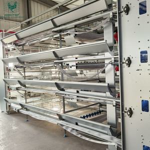 Zware Commerciële Kippenuitrusting Eierproductie Met Hoge Capaciteit Automatisch H-Type Laagkooisysteem Voor Pluimveebedrijven In Brazilië - Product Image 5