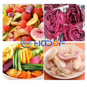 Lyophilisateur industriel pour café, lait d'ânesse en poudre, et snacks au fromage - Product Image 4