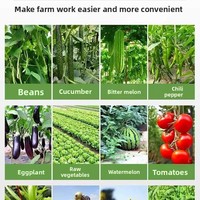 Outil de repiquage manuel haute productivité pour semis de tomates, piments, choux et autres légumes, pour usage domestique