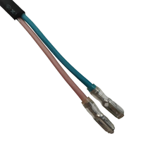 Câble d'extension 10A 250V H05RN-F Europe à 2 broches vers 2 fils dénudés avec bornes