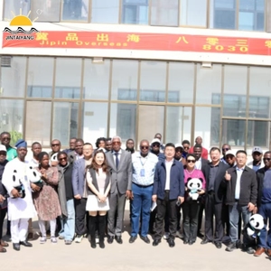 Lõi đồng crosslinked polyethylene cách điện PVC vỏ thép Băng bọc thép PVC bên ngoài vỏ bọc điện áp cao cáp điện - Product Image 5