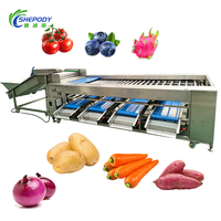 Shepody Automatische Chili Kersen Citrus Sorteermachine voor Landbouw, Geschikt voor Groente- en Fruitverwerkingslijnen