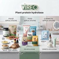 Poudre d'enzyme protéolytique hydrolysatrice de protéines végétales 5000u/g Qualité alimentaire