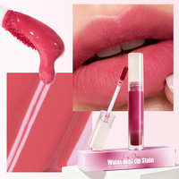 Rouge à lèvres liquide mat longue tenue de haute qualité à marque privée, haute pigmentation, à base de plantes, waterproof, hydratant, 7 couleurs