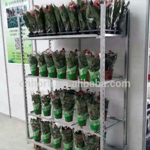 Carrito Danés de Alta Capacidad de Carga, Resistente a la Corrosión, de Acero Inoxidable, para Cuarto de Cultivo, con Cuatro Ruedas, Fácil de Ensamblar, Herramientas OEM - Product Image 2