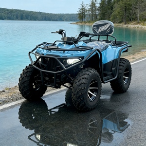 Buggy Arenero de 500cc de Alta Calidad Directo de Fábrica, Buggy Arenero 500cc 4x4 de Alta Potencia para Uso en Dunas de Arena - Product Image 3