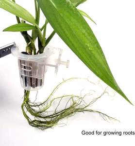 2 Stuks <span class=keywords><strong>Aquarium</strong></span> Plant Houder, Opknoping <span class=keywords><strong>Aquarium</strong></span> Plant Pot Met Gat Voor <span class=keywords><strong>Aquarium</strong></span> Planten Decoraties - Product Image 5