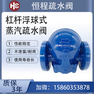 Trampas de Vapor de Hierro Dúctil Tipo Flotador FT14 DN15 a D255, Trampas de Vapor con Brida y Palanca, Equipo de Calefacción - Product Image 5