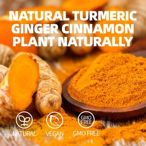 Zerdeçal Zencefil Tarçın Çayı Metabolizma Desteği İçin Doğal Bitki Çayı - Product Image 4