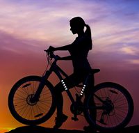 Autocollants réfléchissants adhésifs en PVC pour casque d'équitation de nuit Autocollants réfléchissants de sécurité Bande réfléchissante étanche pour voitures et vélos