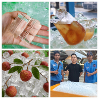 Máquina de Hielo en Tubo de 500kg-1000kg/Día, 220V 60Hz, Enfriada por Aire y Agua, Máquina Industrial de Hielo Cristalino para Negocios de Hielo en Filipinas