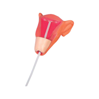 Formation avancée en contraception intra-utérine : Dispositif intra-utérin féminin (DUI) CE/ISO