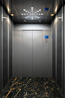 Ascenseur passager à prix compétitif, performance lisse et stable avec entraînement AC de machine de traction sans engrenage de conception moderne