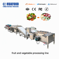 Apple/Peer/Mango Reinigingsverwerkingsapparatuur Voor Fruitgroente Wassen Droogverwerkingslijn