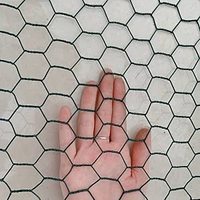 Piège à crabes, homards et poissons de 3/4'' en fil de fer, cage à volaille, maille hexagonale en acier revêtue de PVC