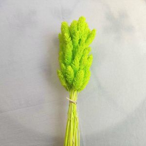 Hierba de <span class=keywords><strong>Phalaris</strong></span> Seca de Alta Calidad al por Mayor para Decoración del Hogar, Manualidades y Bodas - Product Image 3