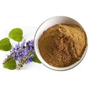 High quality Pure Natural Coleus forskohlii Extract Powder Forskolin Extract