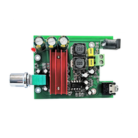 Amplificateur de puissance numérique 100W, ampli de caisson de basses, Module Audio