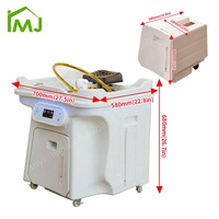 Bac de Lavage de Cheveux Mobile pour Salon avec Tête de Soin, Appareil à Vapeur SPA, Lavabo Portable