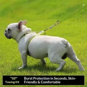 Conjunto de <span class=keywords><strong>Collar</strong></span> y Arnés Acolchado de Nailon para Perros y Gatos, para Paseos Deportivos al Aire Libre - Product Image 5