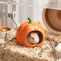Decoración de Cerámica con Forma de Calabaza Personalizable para Hámsteres y Animales Pequeños, Venta al por Mayor, Escondite para Hámsteres de Halloween