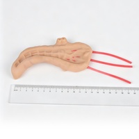 Modelo de Simulación Quirúrgica Laparoscópica para Pancreatoojenojoestomía, Módulo de Práctica de Sutura y Corte
